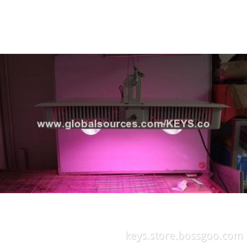600W COB LED Grow Light, Full Spectrum 380-840nm, Bridgelux Chip